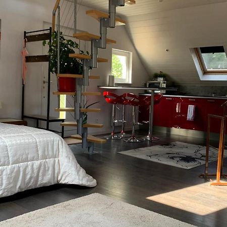Chalet L Ecrin Vert Plaine エクステリア 写真