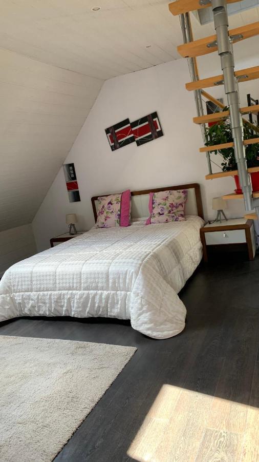 Chalet L Ecrin Vert Plaine エクステリア 写真